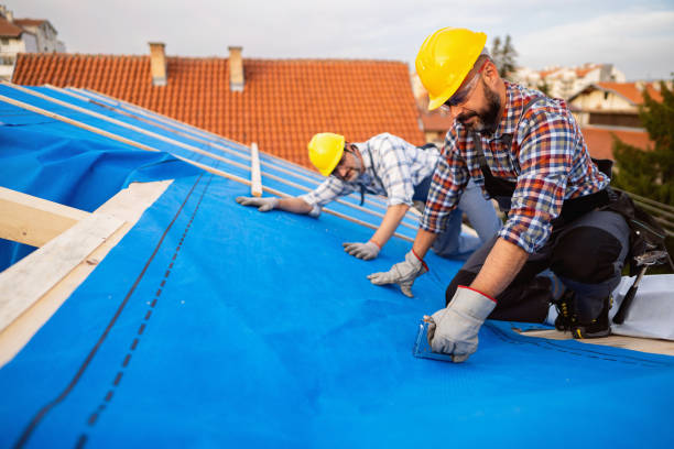 Best Metal Roofing Contractor  in Idylwood, VA