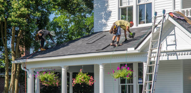 Best Roof Gutter Cleaning  in Idylwood, VA
